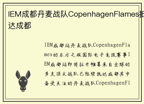 IEM成都丹麦战队CopenhagenFlames抵达成都