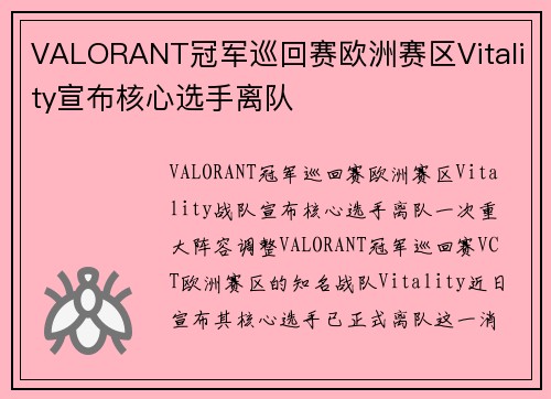VALORANT冠军巡回赛欧洲赛区Vitality宣布核心选手离队