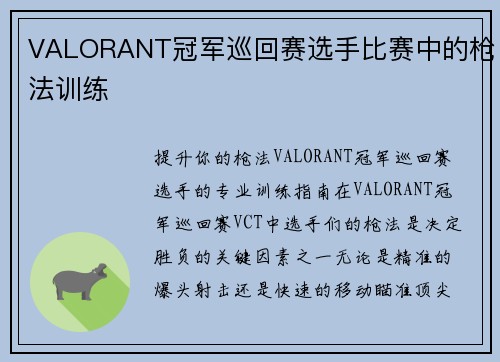 VALORANT冠军巡回赛选手比赛中的枪法训练