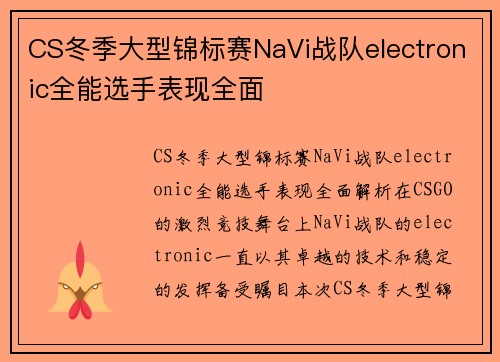 CS冬季大型锦标赛NaVi战队electronic全能选手表现全面