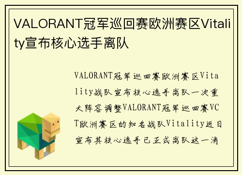 VALORANT冠军巡回赛欧洲赛区Vitality宣布核心选手离队