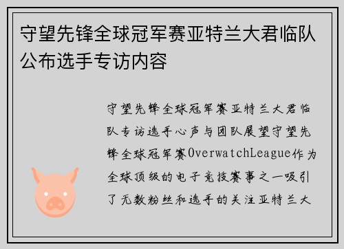 守望先锋全球冠军赛亚特兰大君临队公布选手专访内容